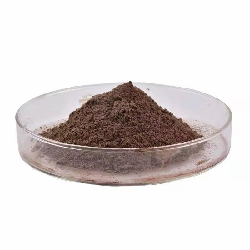 تصویر 4 از پودر سیر سیاه فرآوری شده با کیفیت ممتاز